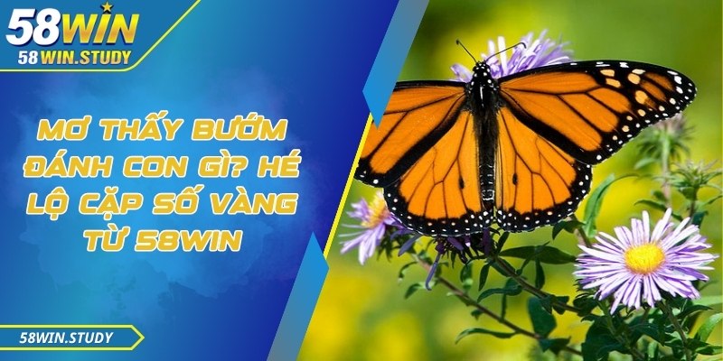 Mơ thấy bướm đánh con gì? Hé lộ cặp số vàng từ 58Win