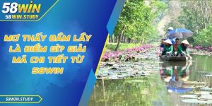 Mơ thấy đầm lầy là điềm gì? Giải mã chi tiết từ 58Win