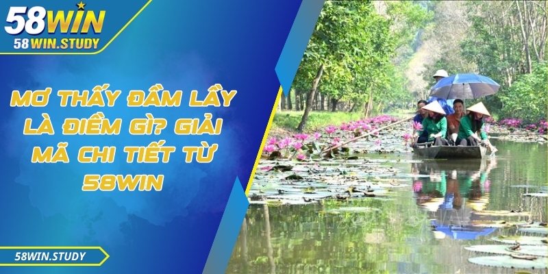 Mơ thấy đầm lầy là điềm gì? Giải mã chi tiết từ 58Win