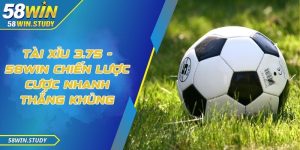 Tài xỉu 3.75 - 58Win chiến lược cược nhanh thắng khủng